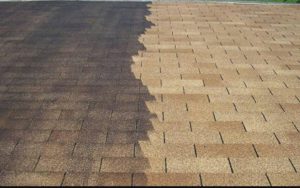Roof Cleaning